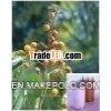 Soapnut Extract,  Saponins 10%,  20%