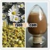 Natural Chamomile Flowers Extract - Medicinal Herb