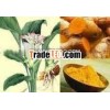 Turmeric Leaf Oil Extract