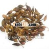 Lian qiao-Forsythia/Perforatum/Chinese herb medicine/natural herb medicine/pure herb medicine