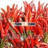 Pure Red Chilli Extract