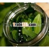 100% Pure Bay Leaf Oil Extract