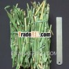 Mu zei cao-Scouring/HerbofRamoseScouringRush/Horsetail Grass
