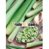 Pure Lemongrass Leaves Extract
