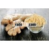 High Quality Ginger Root Extract