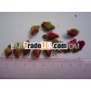 Dried Rose flower of Chinese origin