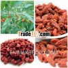 Go Qi Zi Wolfberry frui Goji Berry Ningxia Goji Chinese herb medicine