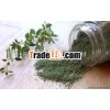 Thyme Leaves Extract / Thymus Vulgaris Leaves Extract Powder