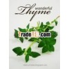 Thyme Extract / Thymus Vulgaris Extract Powder