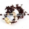 100% Pure & Natural Clove Bud Oil Wholesale