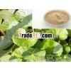 Centella asiatica extract asiaticoside 10