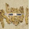 Huang lian Coptis root Herb raws Medical drug Herb flower Herb root