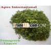 Fenugreek Leaves