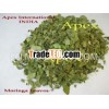 Moringa Leaf Powder ( Moringa Olifera powder )
