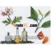 Herbal oleoresins - Fenugreek Oleoresin