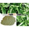 Andrographis Paniculata Leaf Powder