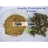 Supplier of Amla dry Fruit & Amla Powder