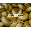 Pure Garlic Oil