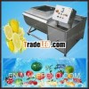 2013 High Quality Stainless Fruit Washer