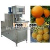 good quality lemon/orange peeling machine