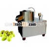 Heavy Duty Potato Peeler