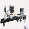 Double Heads Weighing Filling Machine FM-SWD/20L