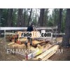 Portable sawmill swing blade WPF 10 - motor 24 HP