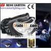 Dry battery mini camping eagle eye headlamps