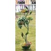 Solar Lantern Plant Stand,  Model No.:72157