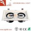 2*15W COB LED  Down Light for Indoor-using