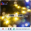 New! Solar String Lights with Dragonfly 10LED