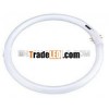 22W / 40W / 55W / 60W T5 Circular Fluorescent TUBE