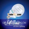 Globe Opal/ Energy Saver Light Bulbs