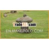hand carved granite garden japanese lantern