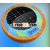 2013 Poolstar P1977 Nature LED lamp with digital thermoneter and panel solar solar lights for swimmi