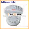 Solar rechargeable led light