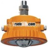 Explosion-Proof Light
