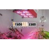 Newest design 2014 best led grow light Apollo6 270w led plant lighting with full spectrum