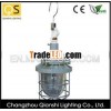 explosion-proof light