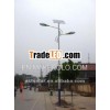 LED streetlight double lamp with solar powered and battery pole
