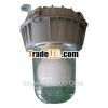 Explosion- proof Light( Induction Lamp ) FB-06A IP65 MOQ:50 sets