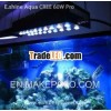 CREE LED coral growing lamp