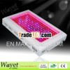 led hydroponic light for lettuce/tomato/topato/horticultural/greenhouse/indoor growing