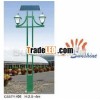 40-300W low frquency induciton solar street lamp