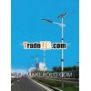2013 hot sell in africa cheap price popular 60w solar street light