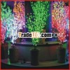 new idea for decoration home hotel 24V/220V/110V/ LED flower lights