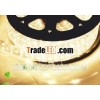 LED rope light Flat 4 wires warm white