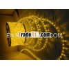 Color Changing Led Rope Light Wholesale