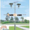 LVD electrodeless induction lamp street light101W
