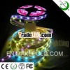 factory sale dream color 12V/5V led strip christmas light